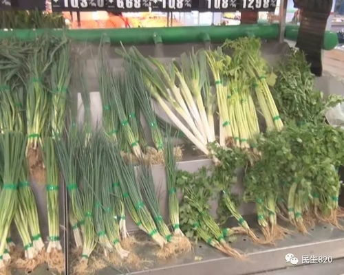 舌尖上的守護 食用農產品快速檢測讓健康中國戰略落地生根